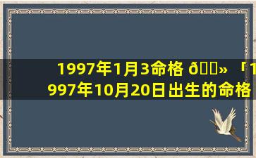 1997年1月3命格 🌻 「1997年10月20日出生的命格」